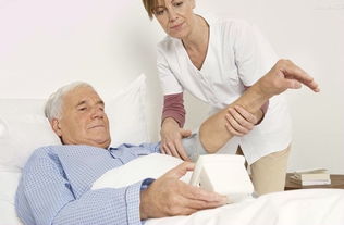 保潔用品與設備市場概覽 品牌、價格與環保趨勢